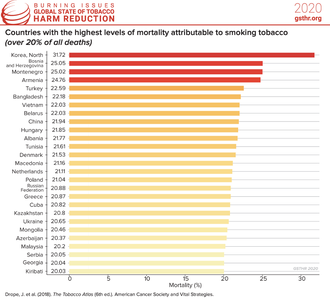 Countries With the Highest Levels of Mortality Attributable to Smoking Tobacco