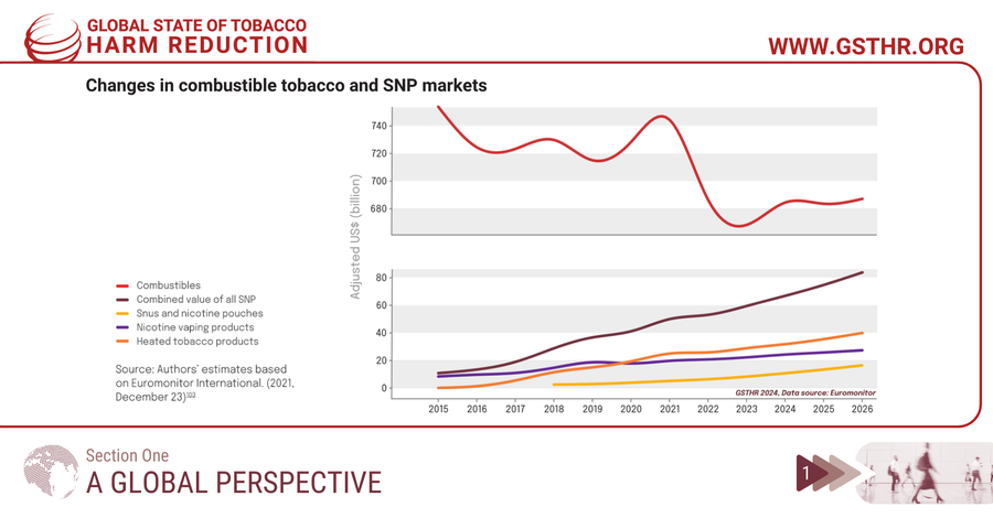 Changes in combustible tobacco and SNP markets GSTHR 2024