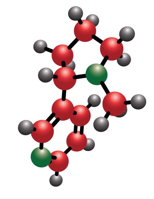 Nicotine molecule