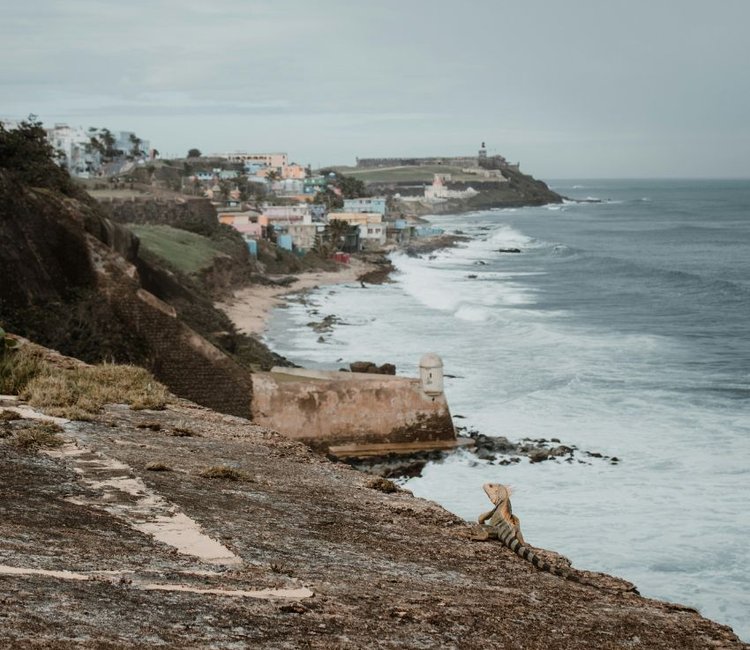 Puerto Rico Background