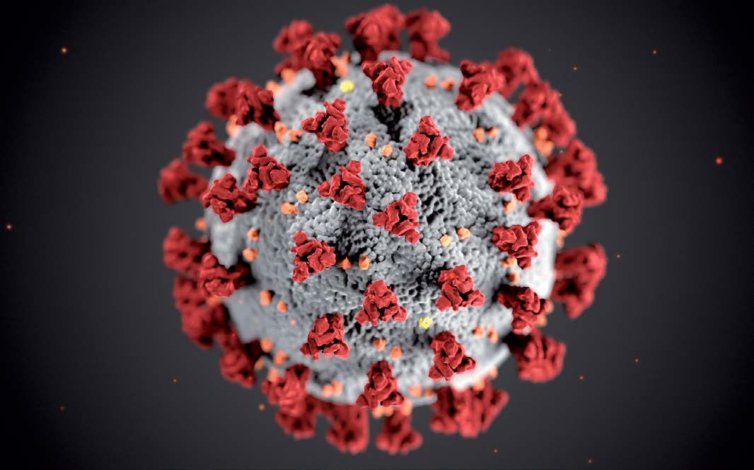 Enlarged virus